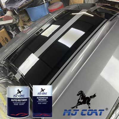 Cartilla auto de acrílico resistente del moho - Matte Sheen Finish