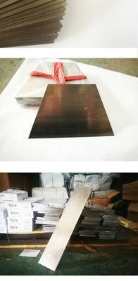 Disco imprimible del acero de la astilla del raspador de la masilla de la pintura de DIY para la pintura del coche